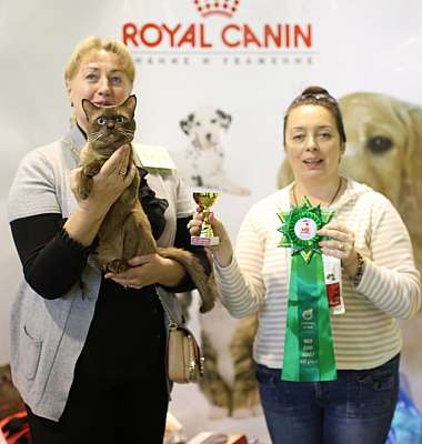 �������� ����� 18-19 ������� 2014 WCF-����� 8-161-169A4019 copy.jpg